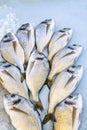 Beautifully laid out fresh fish on a market counter. New catch. Background. Space for text.