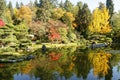 Full of beautiful fall colors at Japanese Garden, Seattle Washington Royalty Free Stock Photo