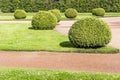 Beautifully manicured garden bushes