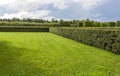 Beautifully manicured garden bushes