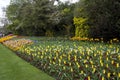 St James Park London Spring flowers Royalty Free Stock Photo