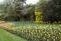 St James Park London Spring flowers Royalty Free Stock Photo