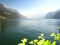 Beautifully panorama view with a turquoise blue swiss lake with snow-covered mountains and flowers