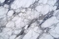 Beautifully patterned white marble texture, perfect for artistic designs.