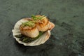 Gorgeous Scallops with asparagus on a shell Royalty Free Stock Photo
