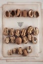 Beautifully presented walnuts on old book pages