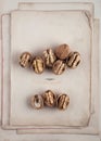 Beautifully presented walnuts on old book pages