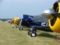 Beautifully restored North American AT-6 Texans.