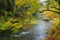 A beautifully river flowing autumn forest Royalty Free Stock Photo