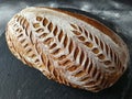 Beautifully scored homemade artisan sourdough bread Royalty Free Stock Photo