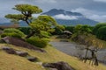 Beautifully shaped trees and landscape inside the Senganen japanese garden, with in the background the Sakurajima volcano