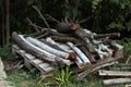 Beautifully stacked chopped branches and trunks