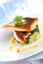 Salmon Dish Royalty Free Stock Photo