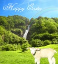 Beautifully sunny water fall on a bright summer day with a sweet lamb and a beautiful blue sky collage with happy easter text