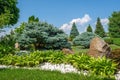 Beautiful backyard garden with nicely trimmed bonsai, bushes and trees. Royalty Free Stock Photo
