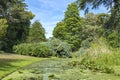 Beautifully varied vegetation along this ditch with water lilies in an arboretum in Rotterdam, the Netherlands