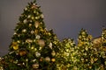 Beautifuly decorated Christmas tree in the city at night