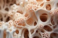 Gorgeous White Coral: Enhance Your Home Decor