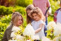 Beautirul white flowers of hydrangea and kids