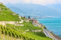 Beautitul wine village Saint Saphorin in Lavaux wine region, Switzerland photographed in summer season with famous Geneva Lake in