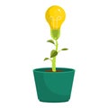 Bulb plant vector design illustration