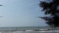 Beautiul beach with very sunny weather, on the beach with shady trees