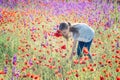 Beautiul caucasian girl holding big bouquet with poppies