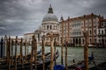 BEAUTIUL VENEZIA, VENICE, ITALY