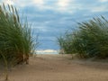 View of the sea and beach