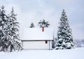 Winter scene, rural house and snow pine trees Royalty Free Stock Photo