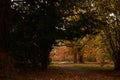 Autumn in the Park Szczytnicki in Poland Royalty Free Stock Photo