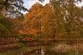 Autumn in the Park Szczytnicki in Poland Royalty Free Stock Photo