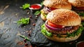 beautuful burger background with copy space