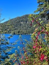 Beautiful landscape of San Martin de los Andes, Argentina