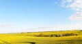 Beauty around a tree in a yellow field with rapeseed, blue sky with clouds Royalty Free Stock Photo