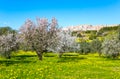 The beauty of art and nature of the Agrigento province Royalty Free Stock Photo