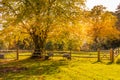 Autumn Trees in English Garden with Post and Rail Fencing, Horse Paddocks and Wheelbarrows