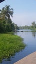 The beauty in the backwaters