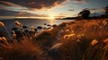 Beauty of Beach Sunrise: Soft and Golden Ocean Sunlight