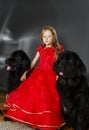 Beauty and the Beast. Girl with big black water-dog. Royalty Free Stock Photo