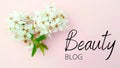 Beauty blog blogging text