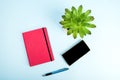 Beauty blog concept photo. Green plant, notebook, pen and mobile phone on blue background