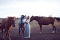 Beauty blondie with horse in the field, effect of toning Royalty Free Stock Photo