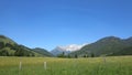 Beauty of the blooming fields and sublime mountains