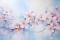 Beauty blossoming pink cherry sakura nature gardening plant tree spring flora flower