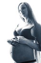 Beauty brunette pregnant woman isolated black and white portrait, tenderness people concept Royalty Free Stock Photo
