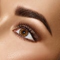 Beauty brunette woman eye with perfect makeup Royalty Free Stock Photo