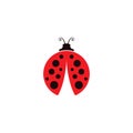 Beauty bug vector illustration icon Royalty Free Stock Photo