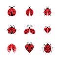 Beauty bug vector illustration icon Royalty Free Stock Photo