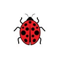 Beauty bug vector illustration icon